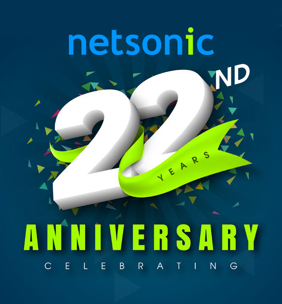 Netsonic's 22 year anniversary logo
