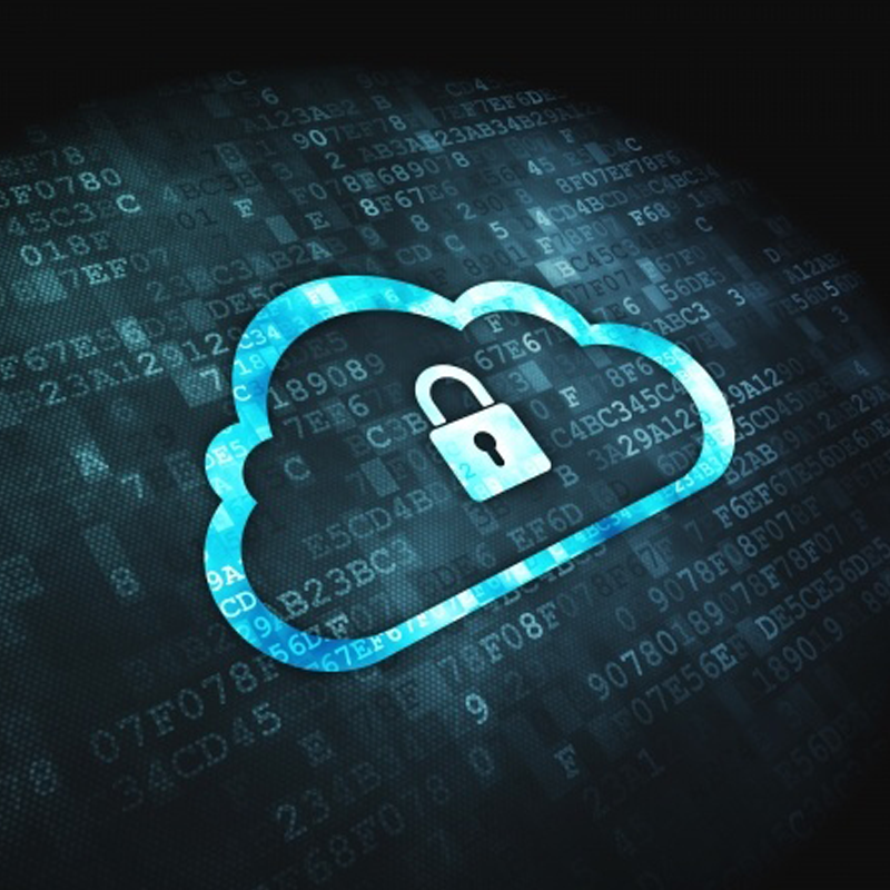 Cloud Computing Security