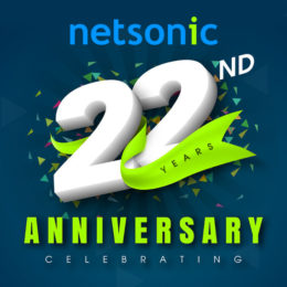 Netsonic's 22 year anniversary logo